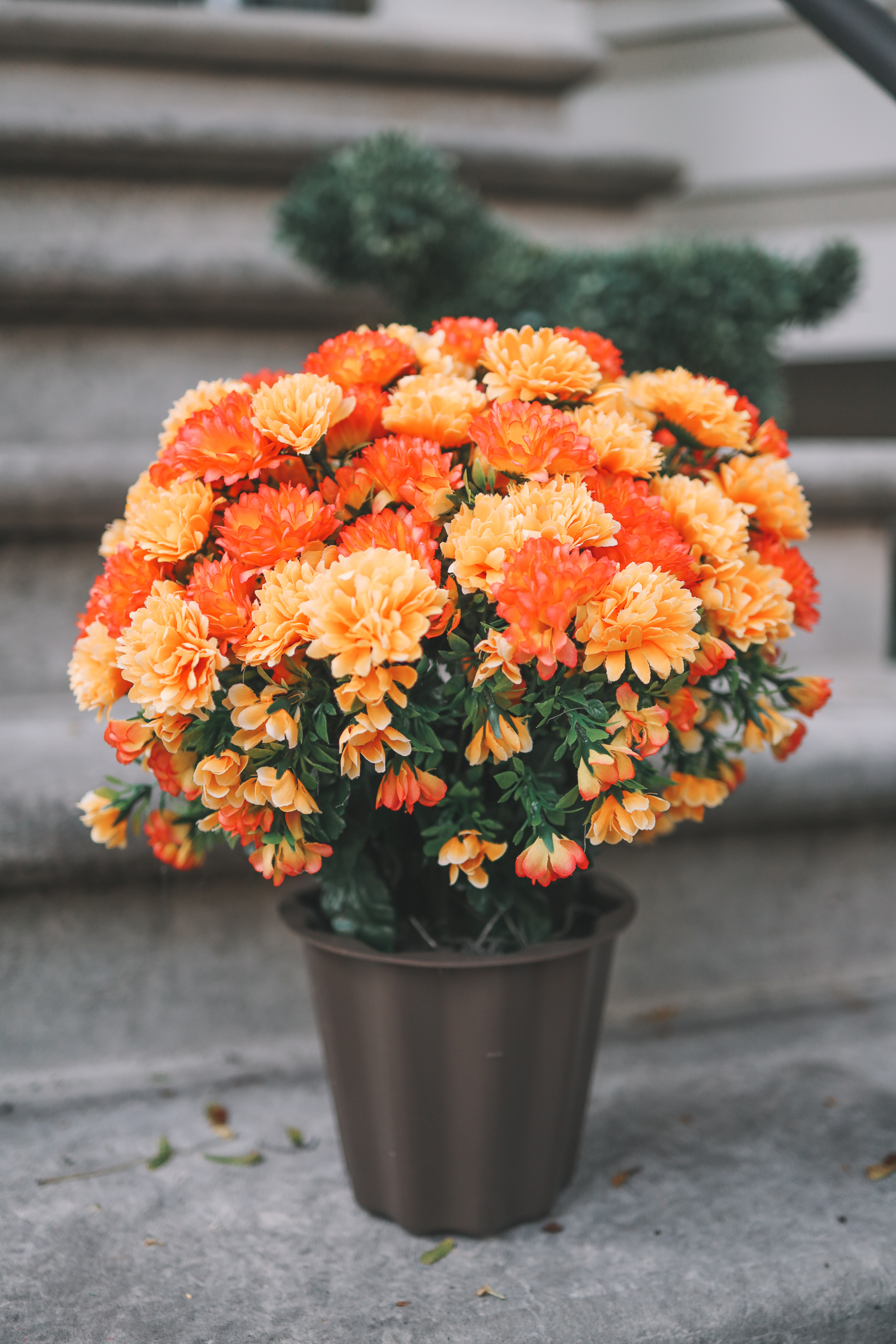 Outdoor Potted Mums Decoration