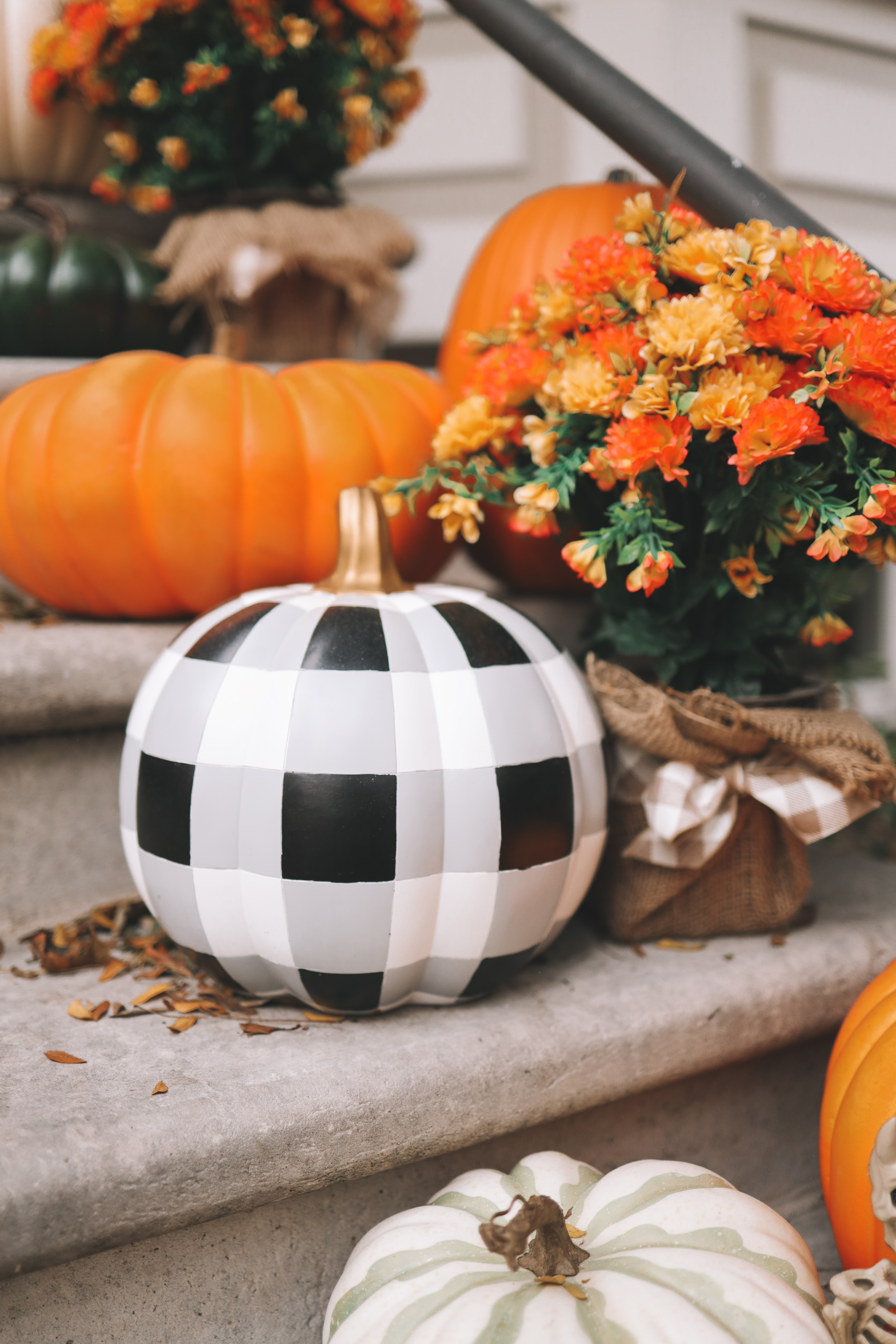 spooky and pumpkin theme