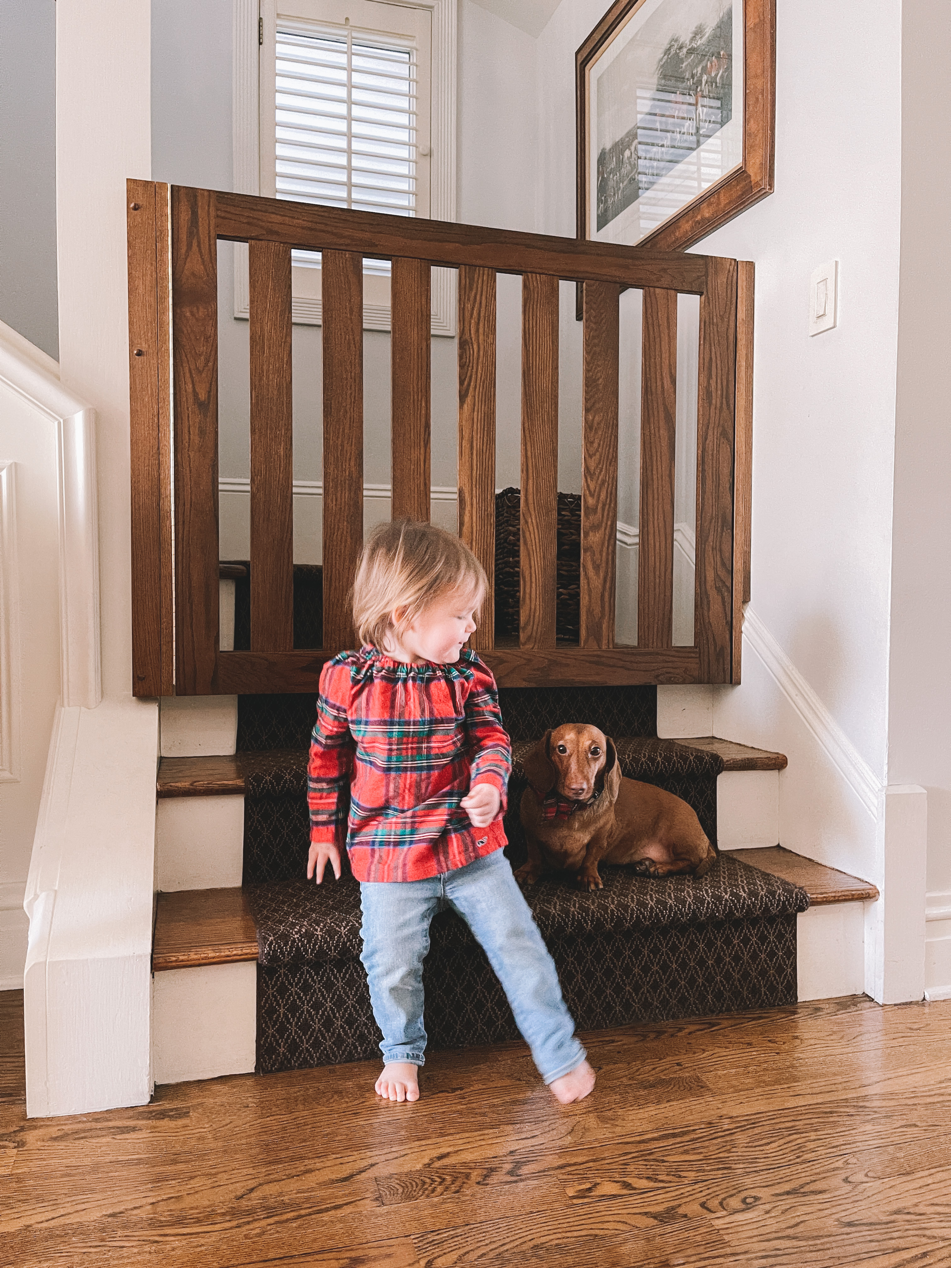 Baby gate for weird sales stairs