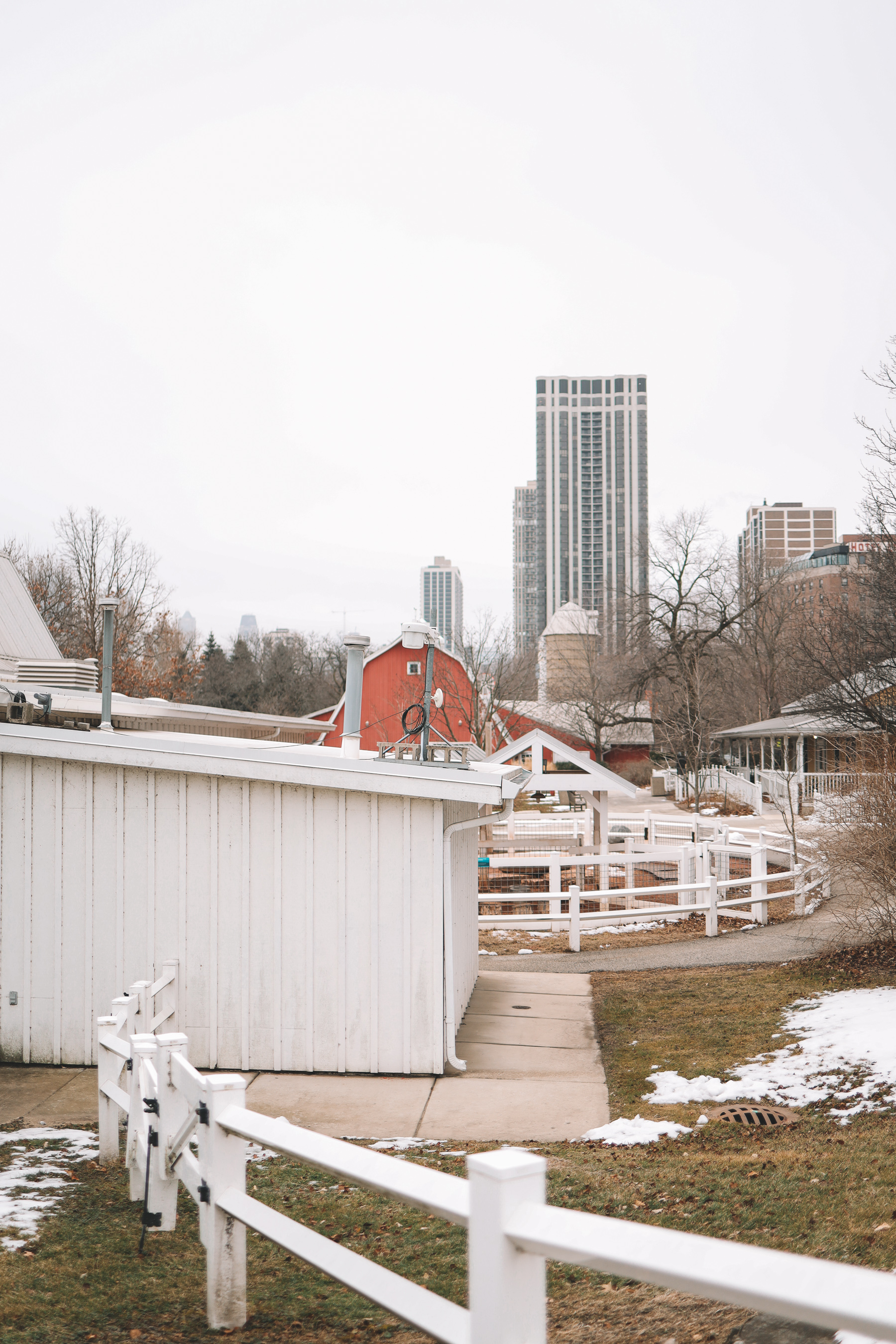 chicago in winter | A Walk Through Lincoln Park Vol 3
