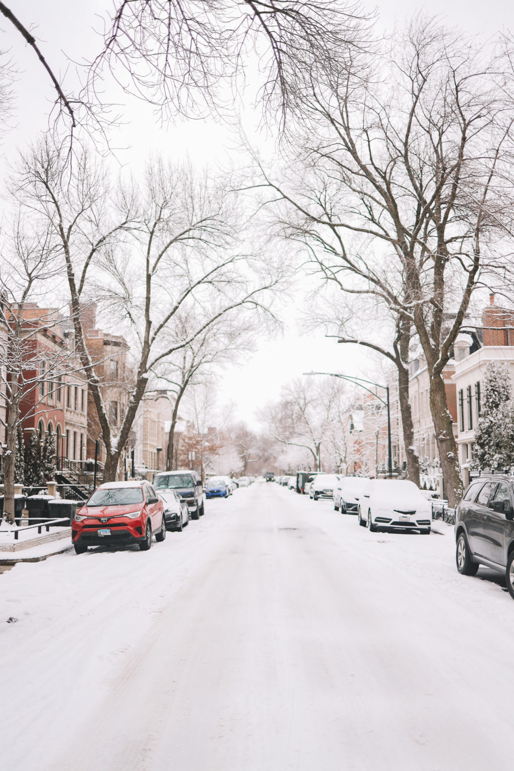 Happiness Walk Through Lincoln Park, Vol. 4 | Kelly in the City