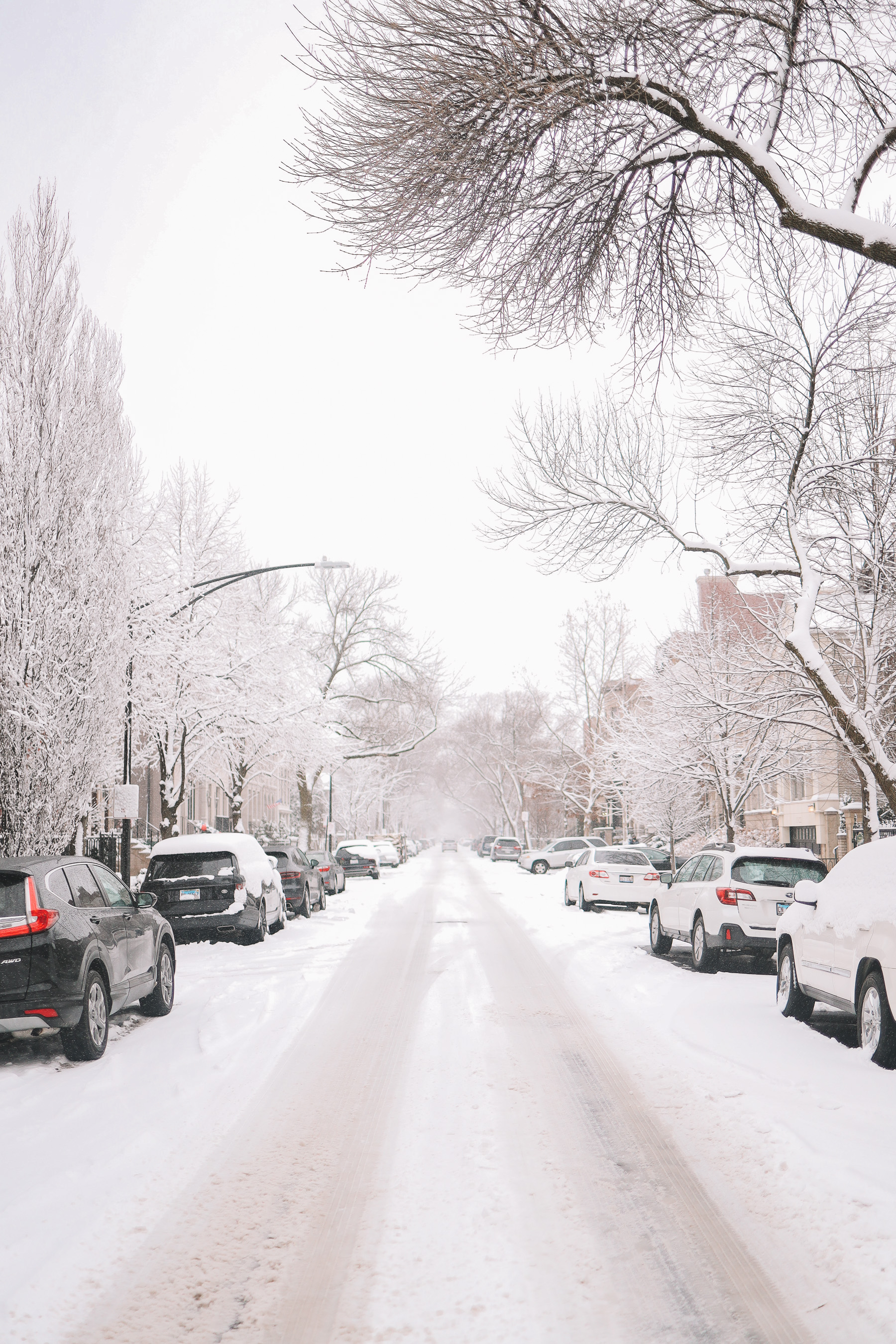 Lincoln Park chicago street snow
