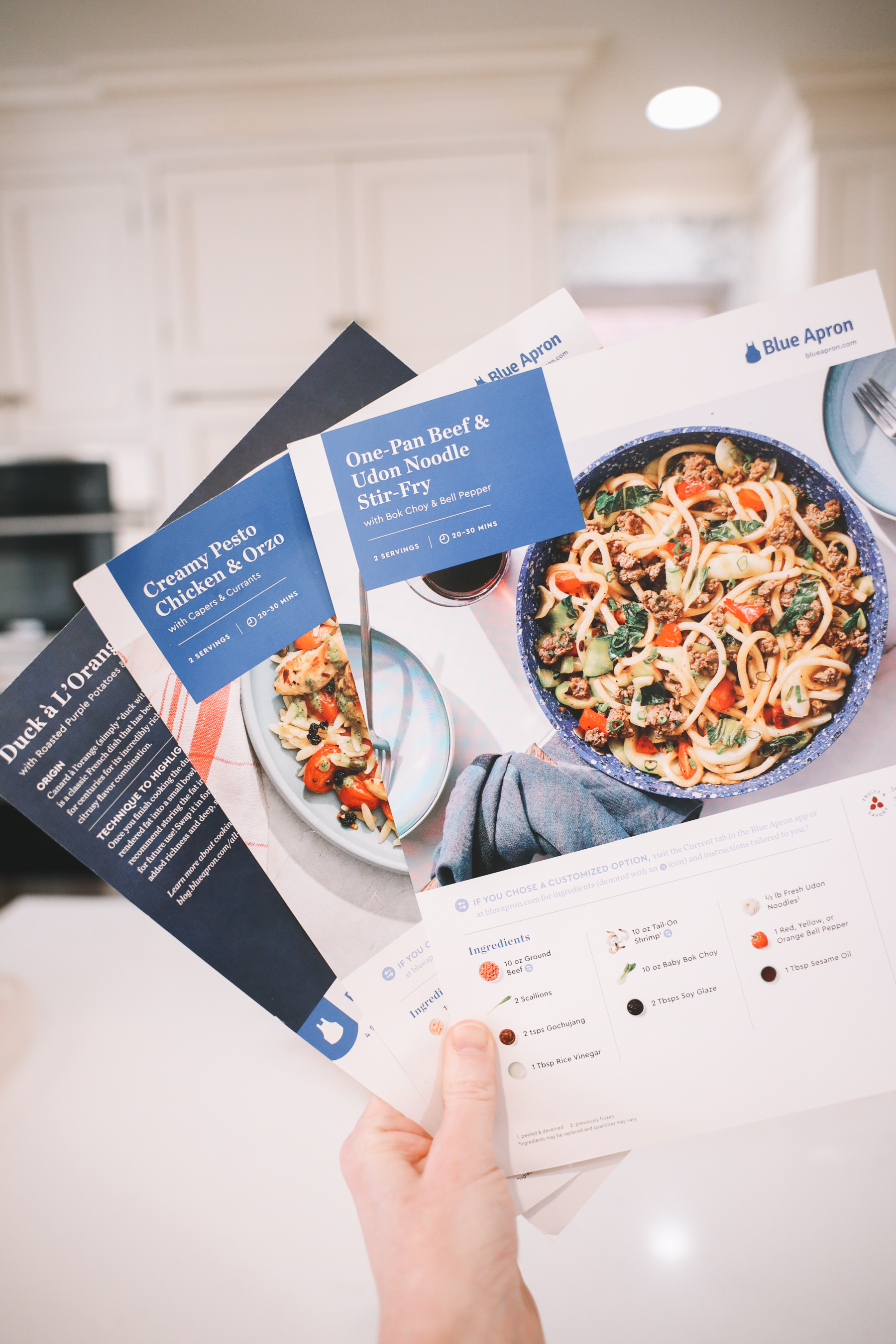 Kelly in the City + Blue Apron Offer recipes