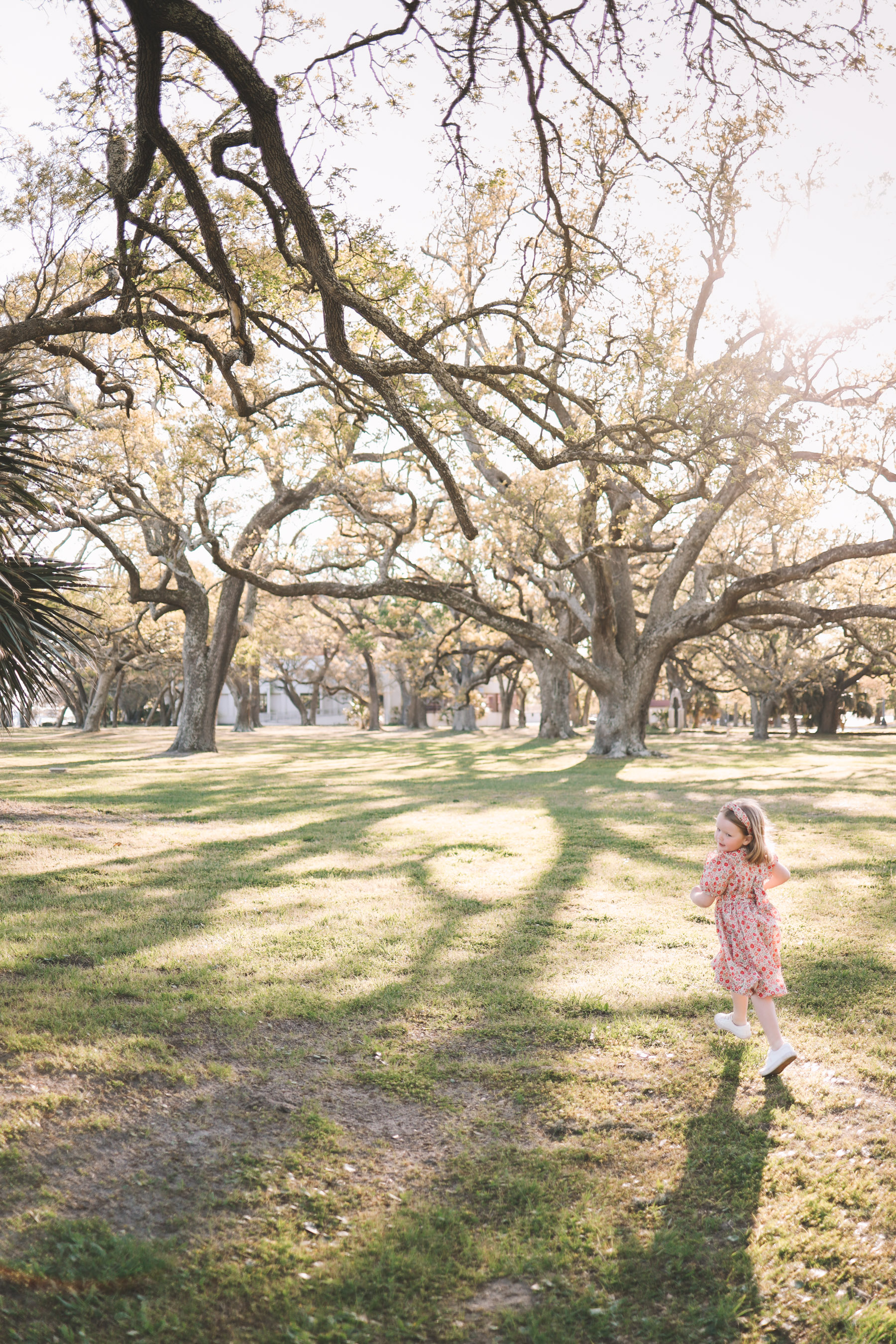 Under the Oak Trees