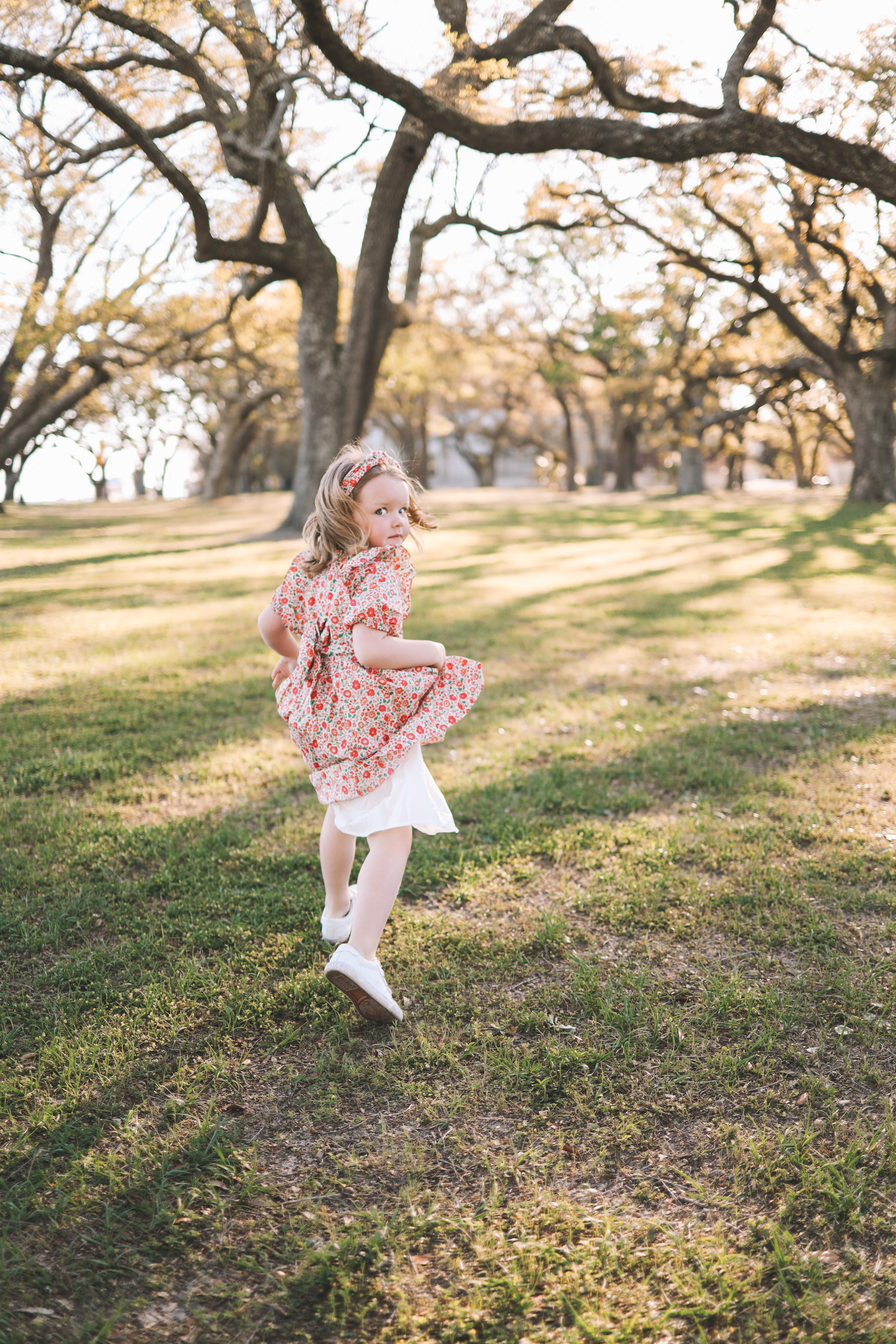 Under the Oak Trees