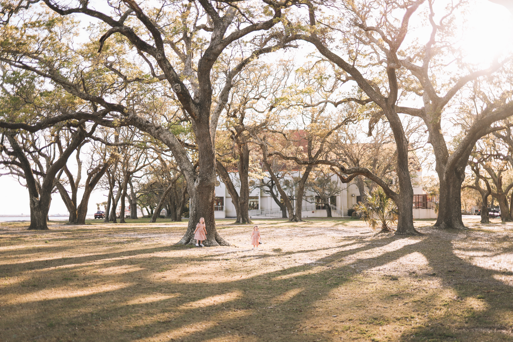 kids under oak trees