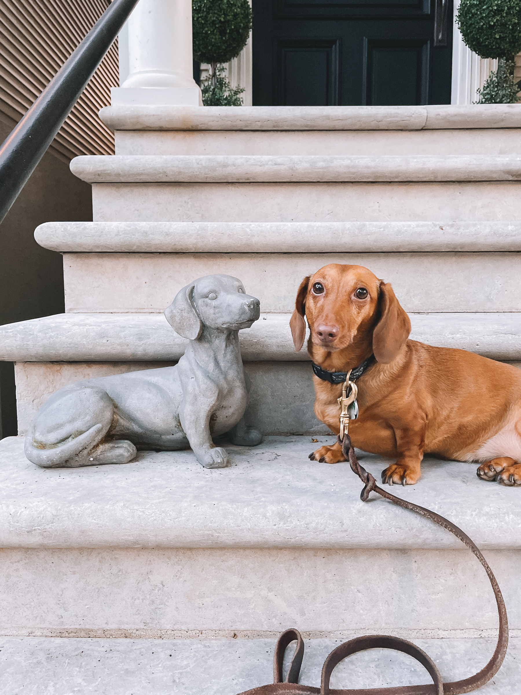 Stone Noodle Dachshund and real Dachshund | 10 More Things 7/19
