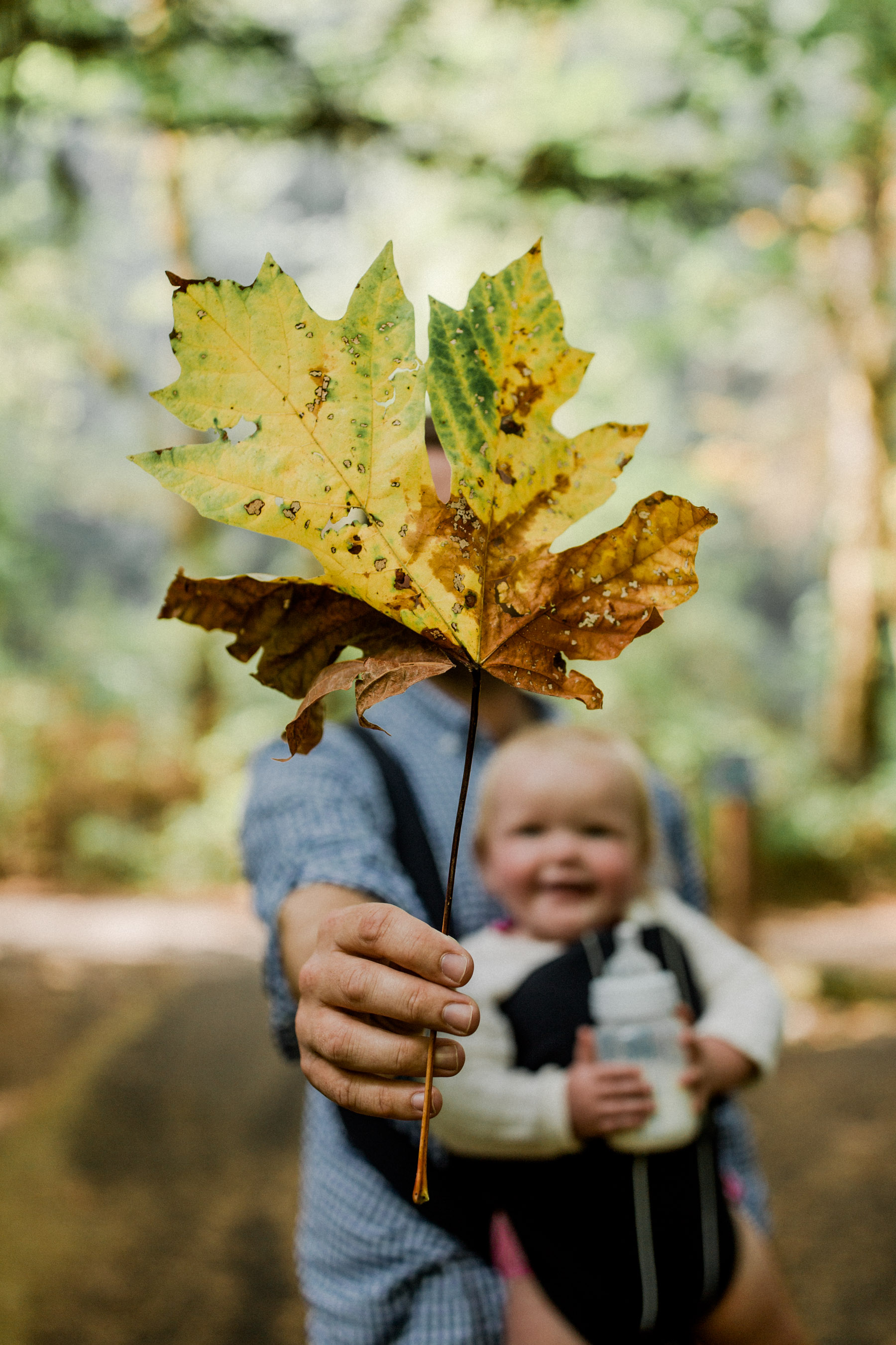20 Autumn Activities for Toddlers