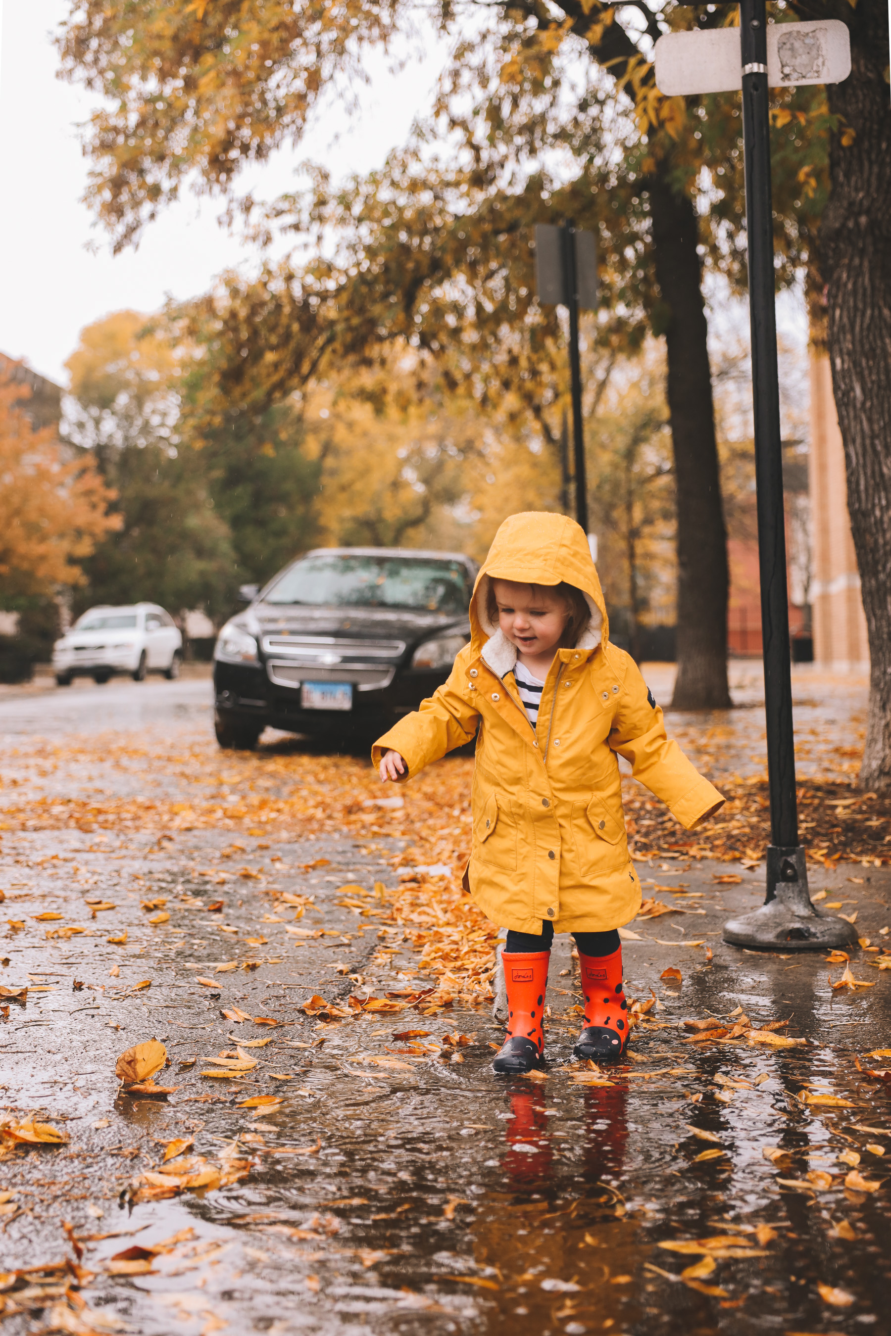 Fall Yellow Rain Coat Photos