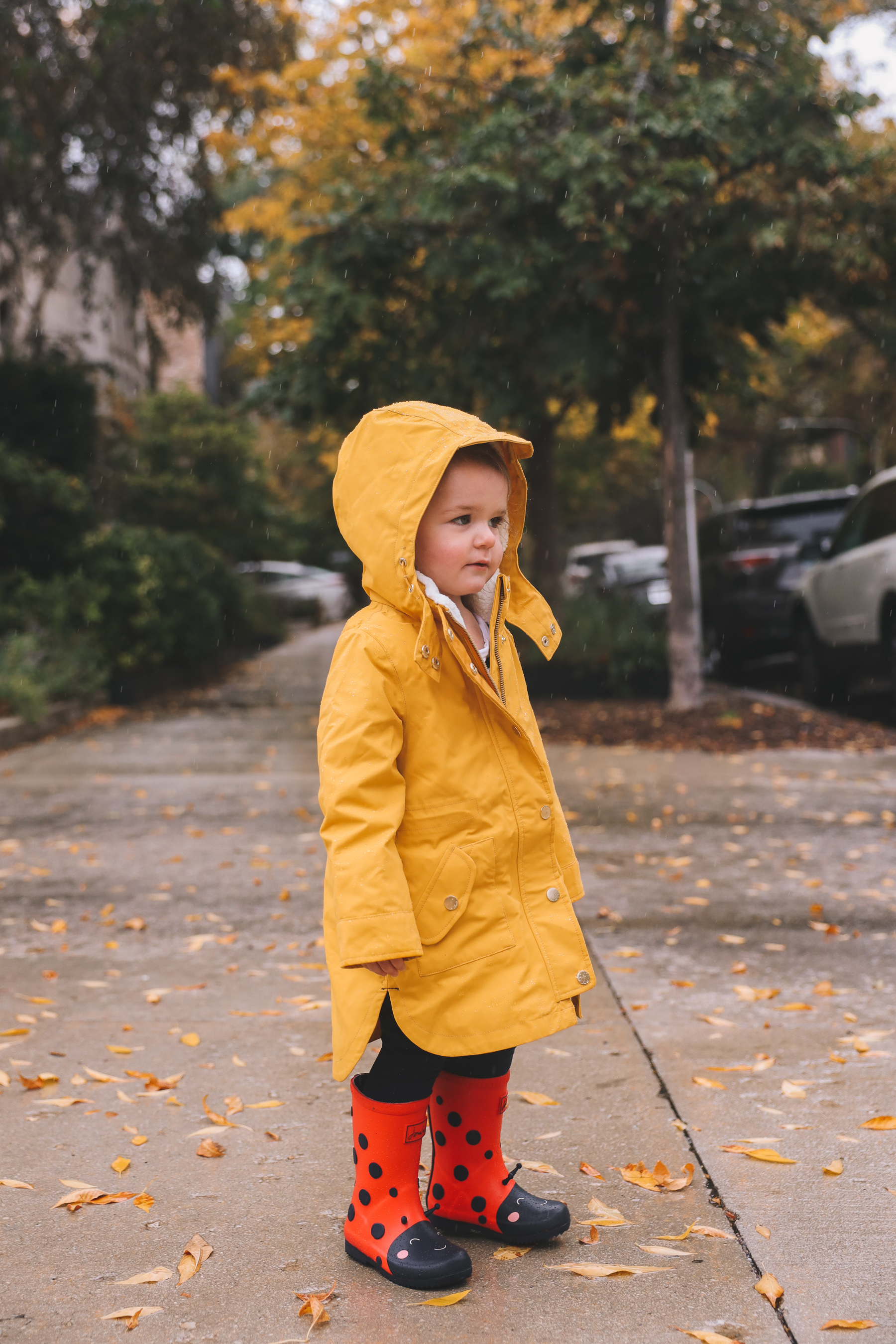 Annual Yellow Rain Coat Photos