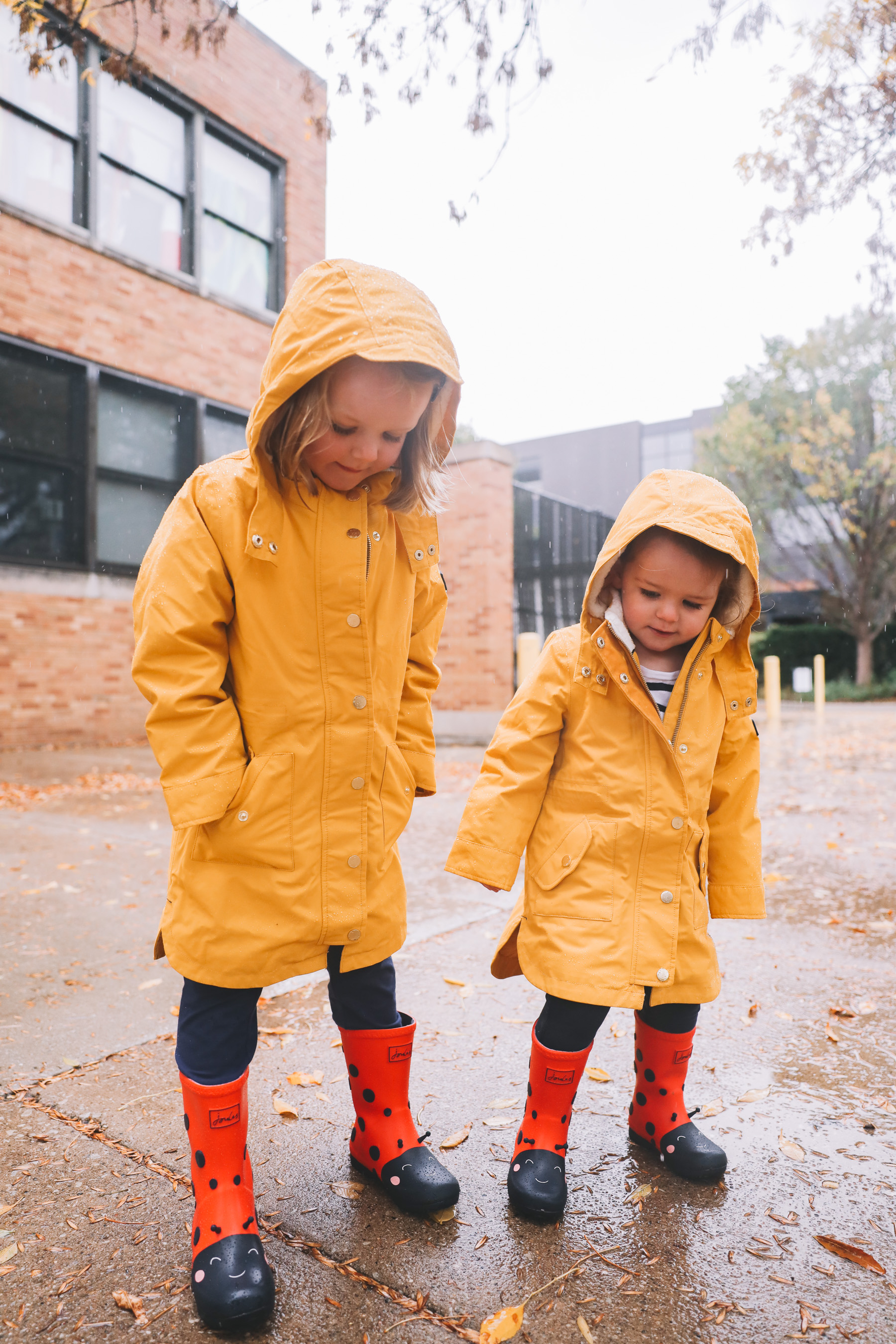 Annual Yellow Rain Coat Photos