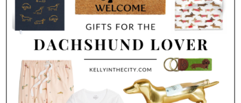 Gift Guide for The Dachshund Lover
