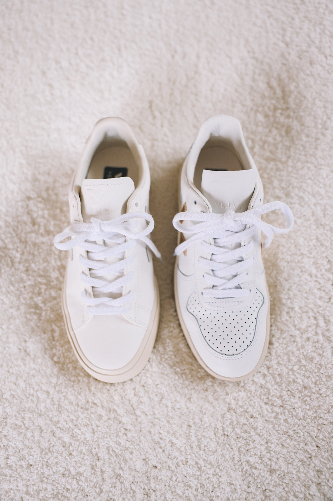 Review: Veja Campo Sneaker vs Veja V-10 Sneaker