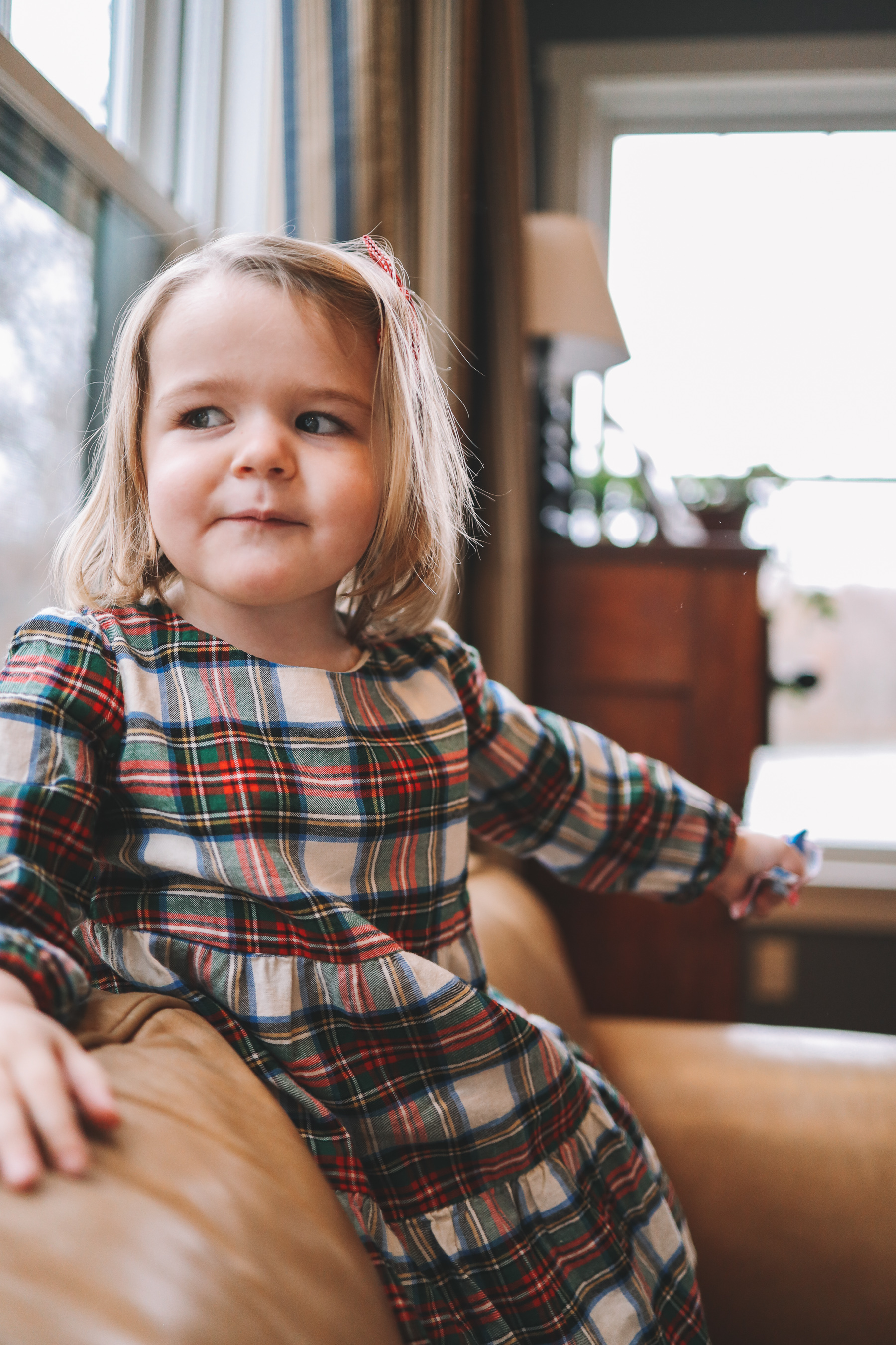 Flannel  Dress - Kelly in the City