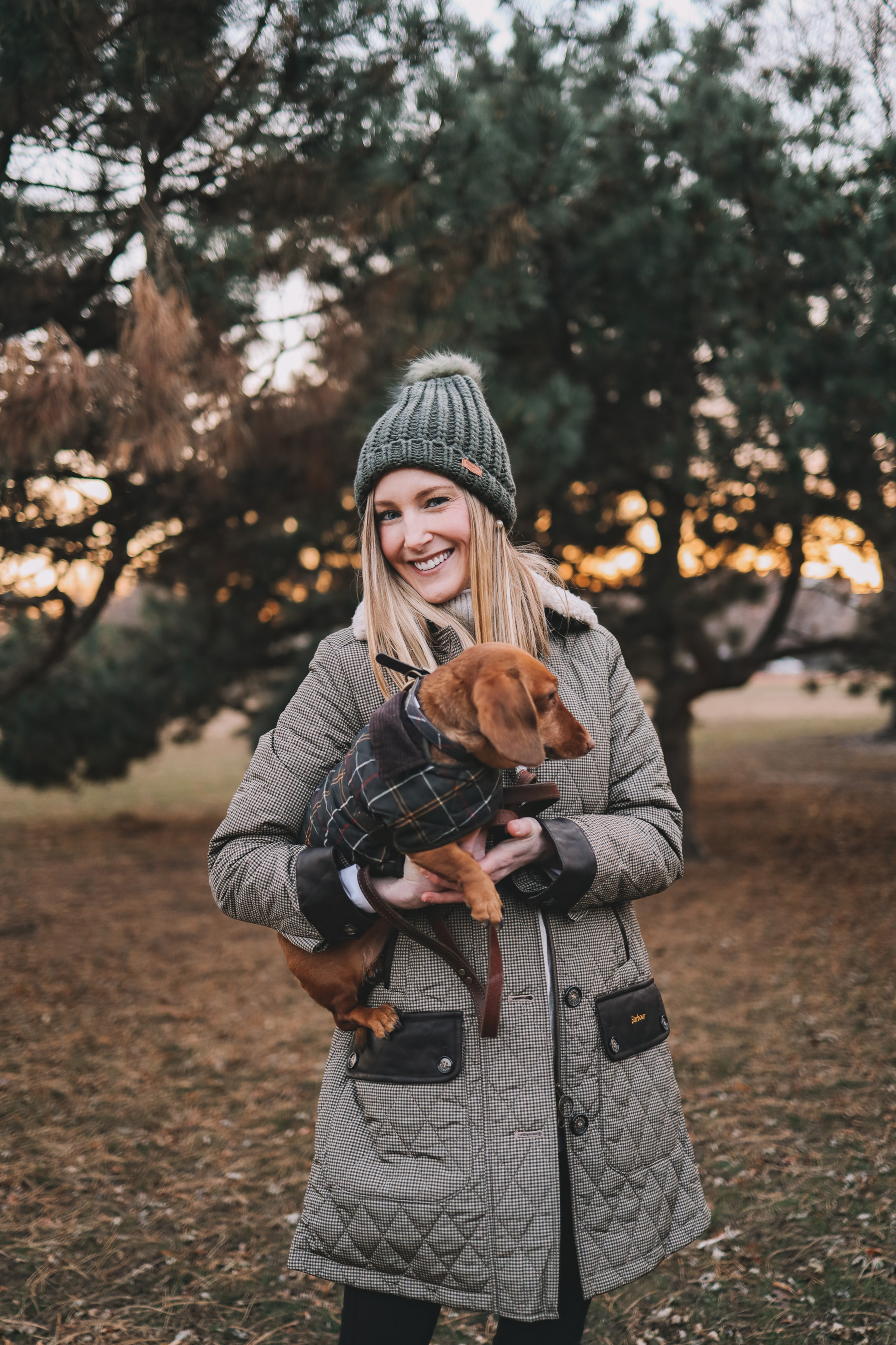 Dog winter Jacket and Collar