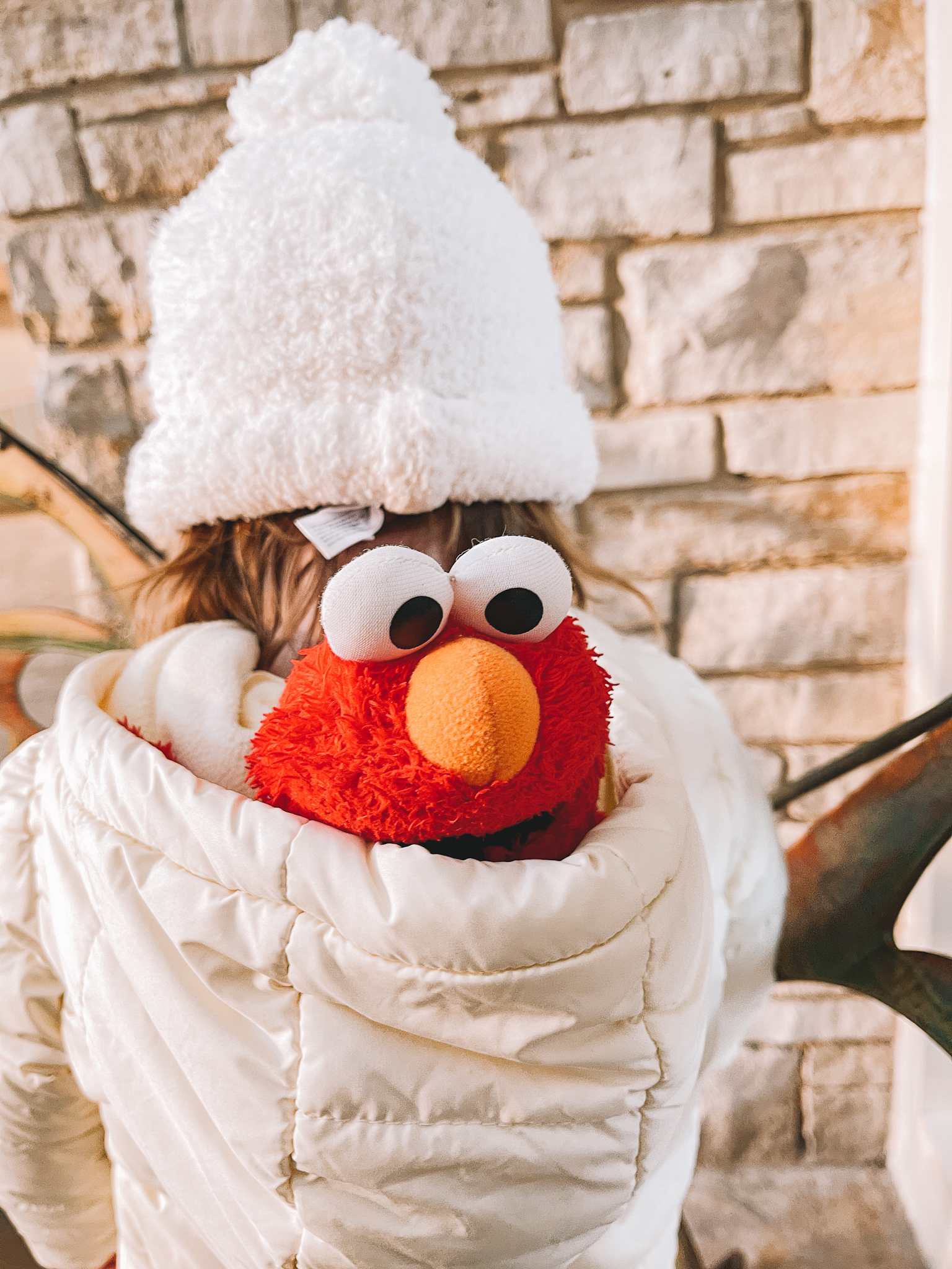 Elmo toy inside hoodie