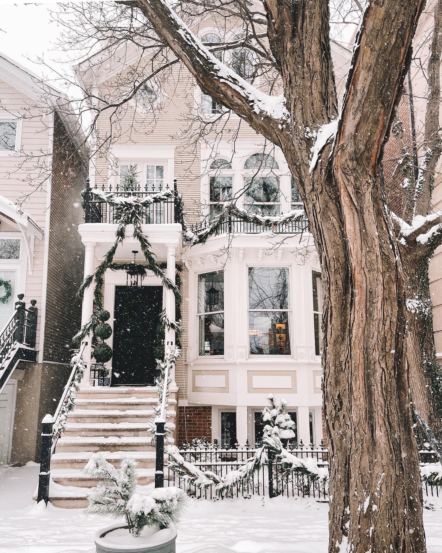 20+ Things 1/31 | Lincoln Park Chicago Christmas