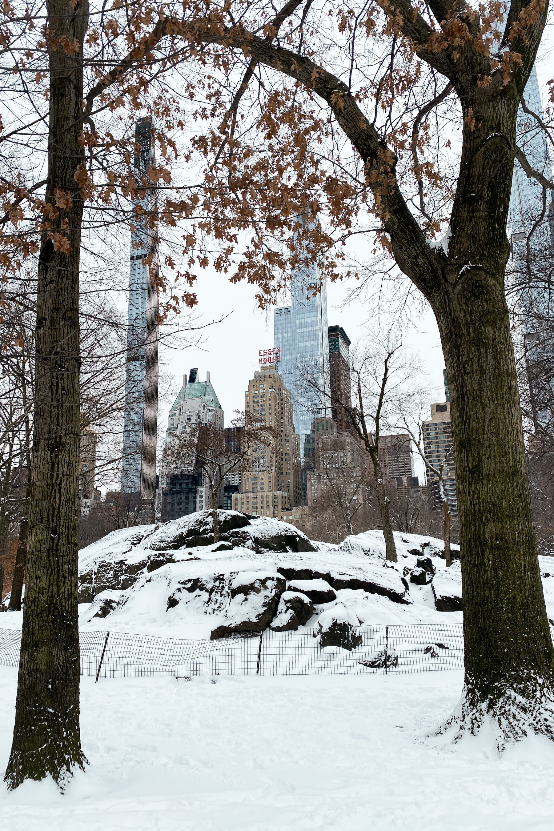 skyline of Central Park South | A Snow Day in New York City
