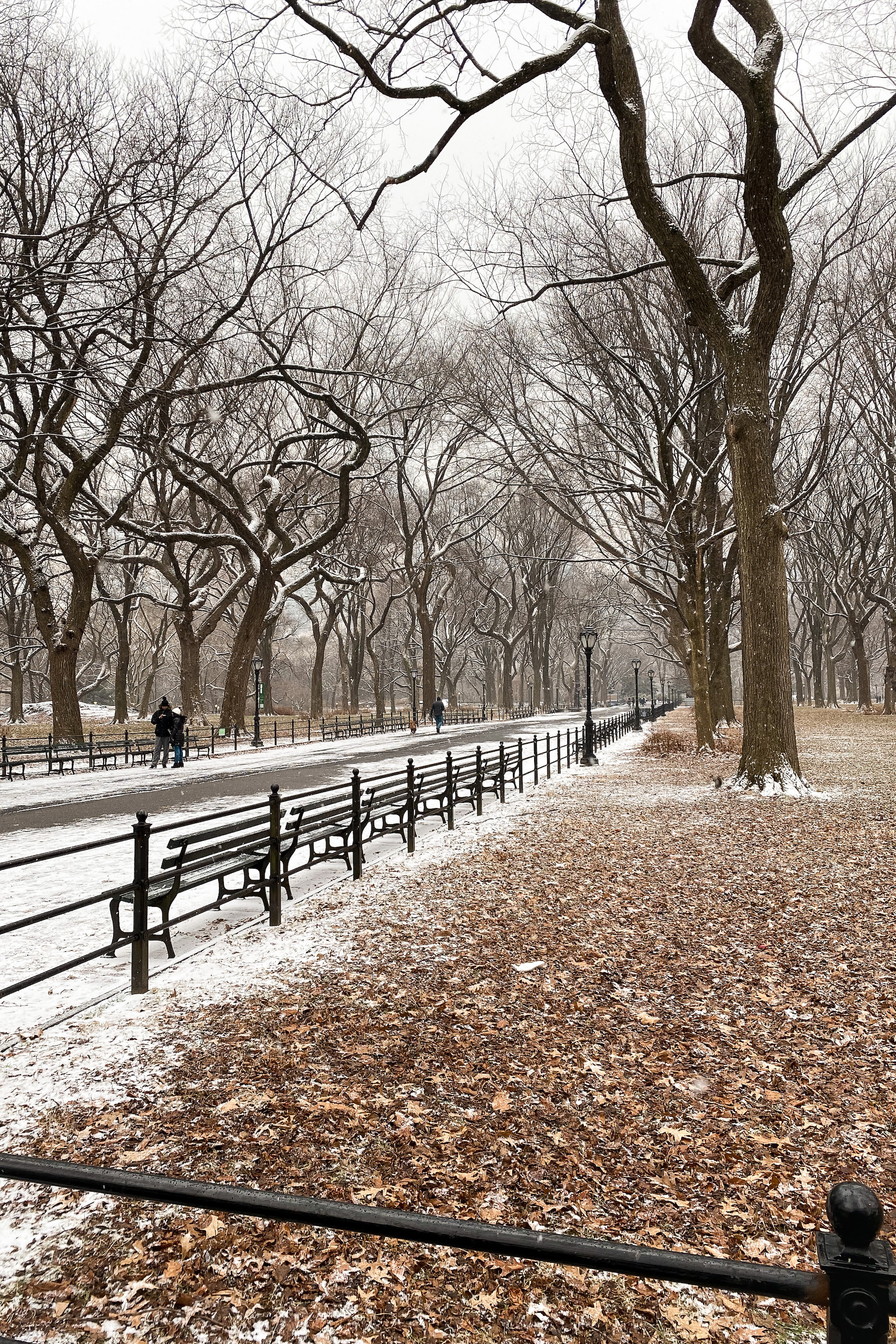 The Mall in Central Park | A Snow Day in New York City