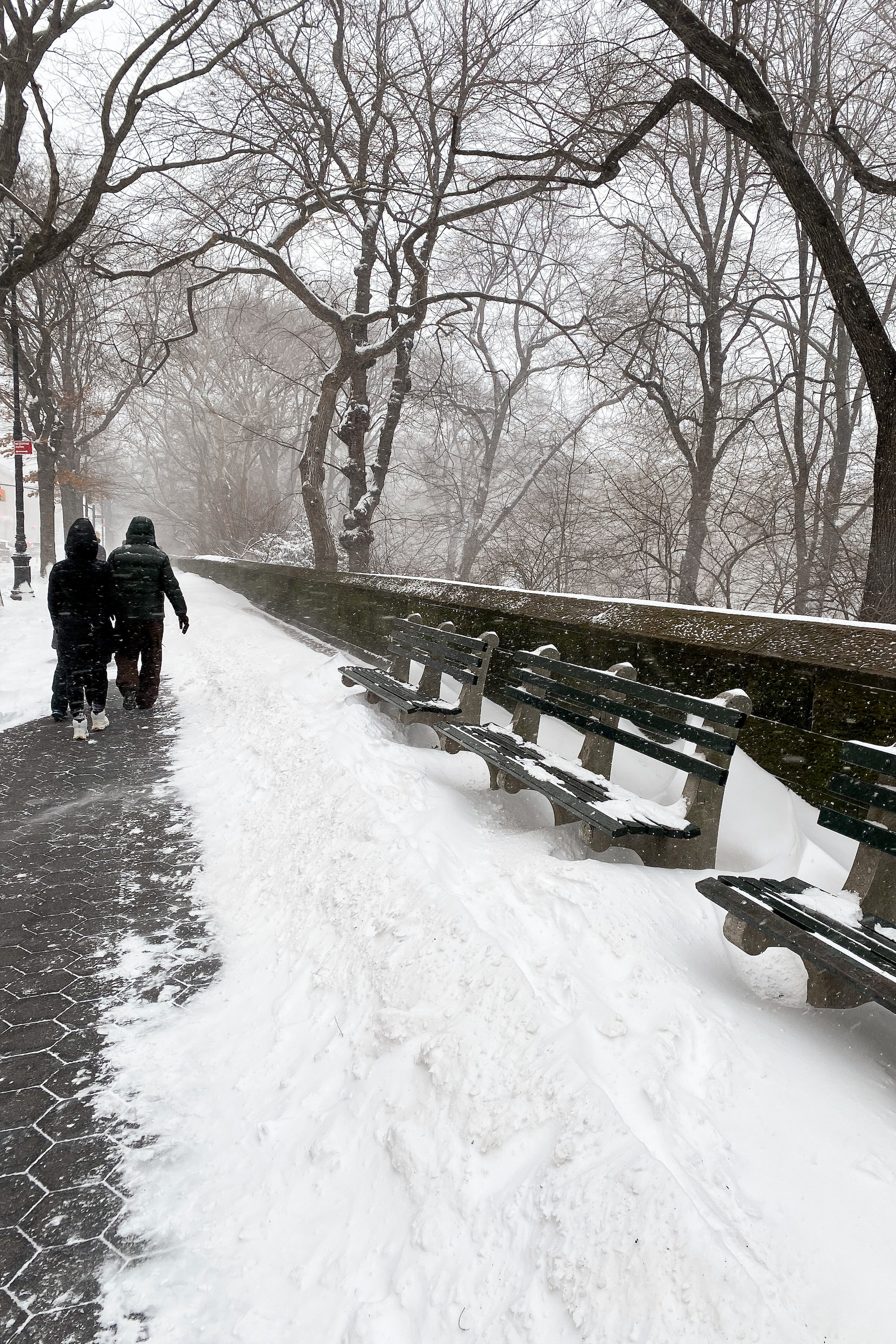 snowy Central Park West