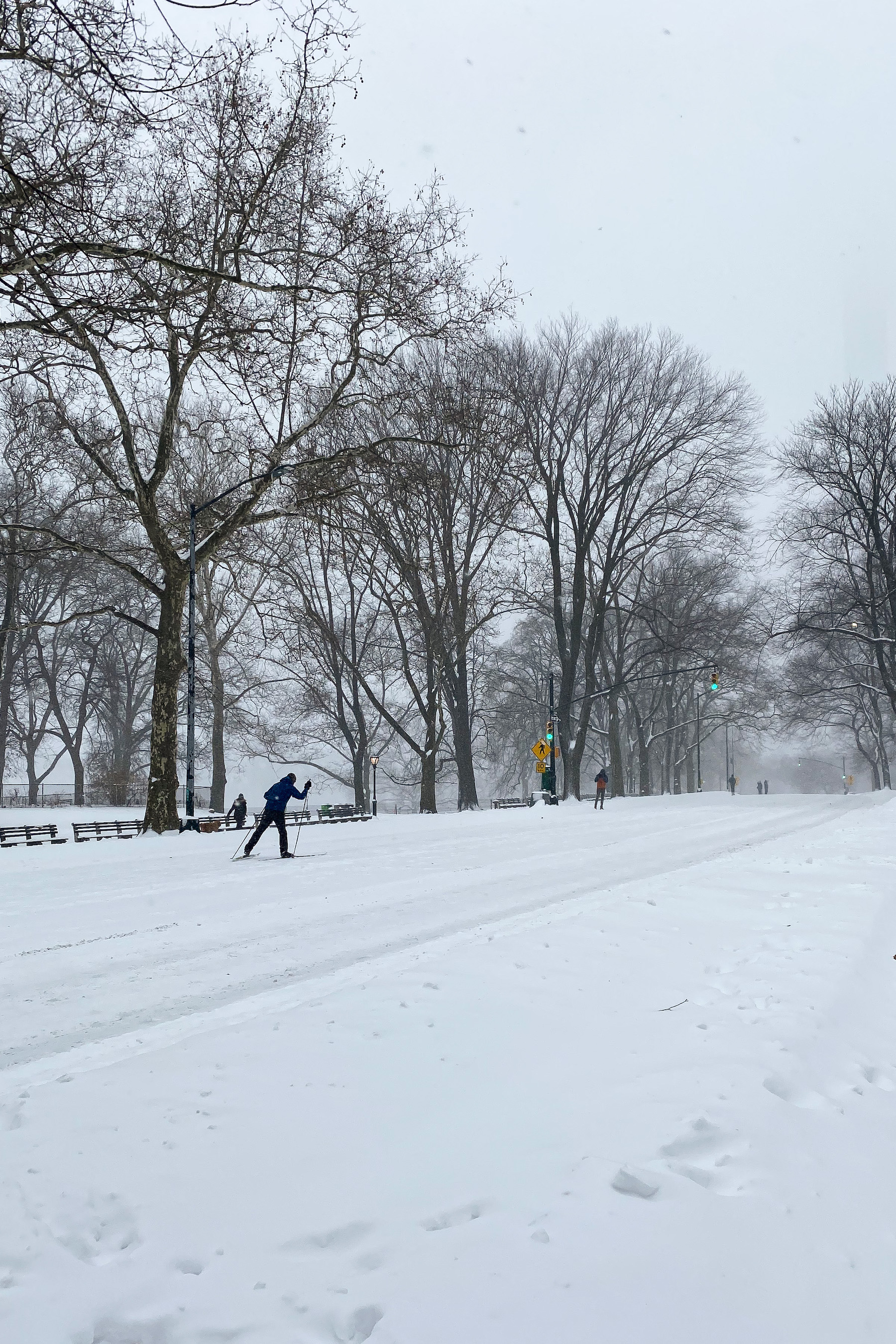 cross country skiers in Central Park | A Snow Day in New York City