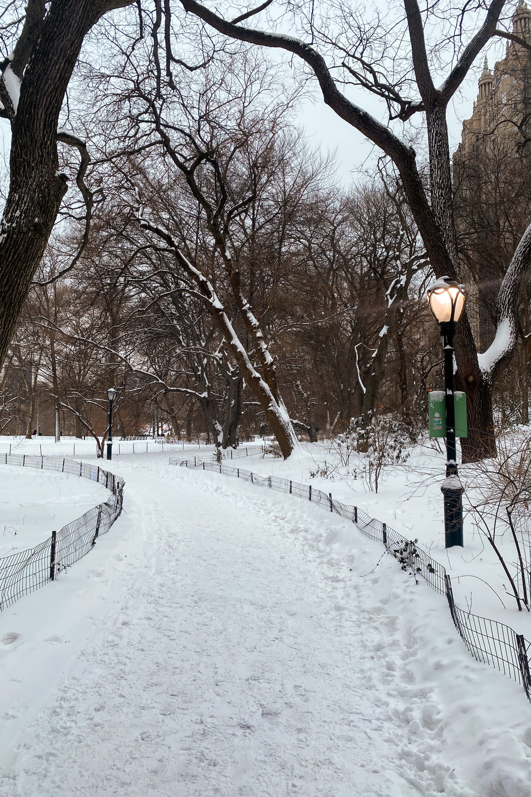 Central Park lampposts