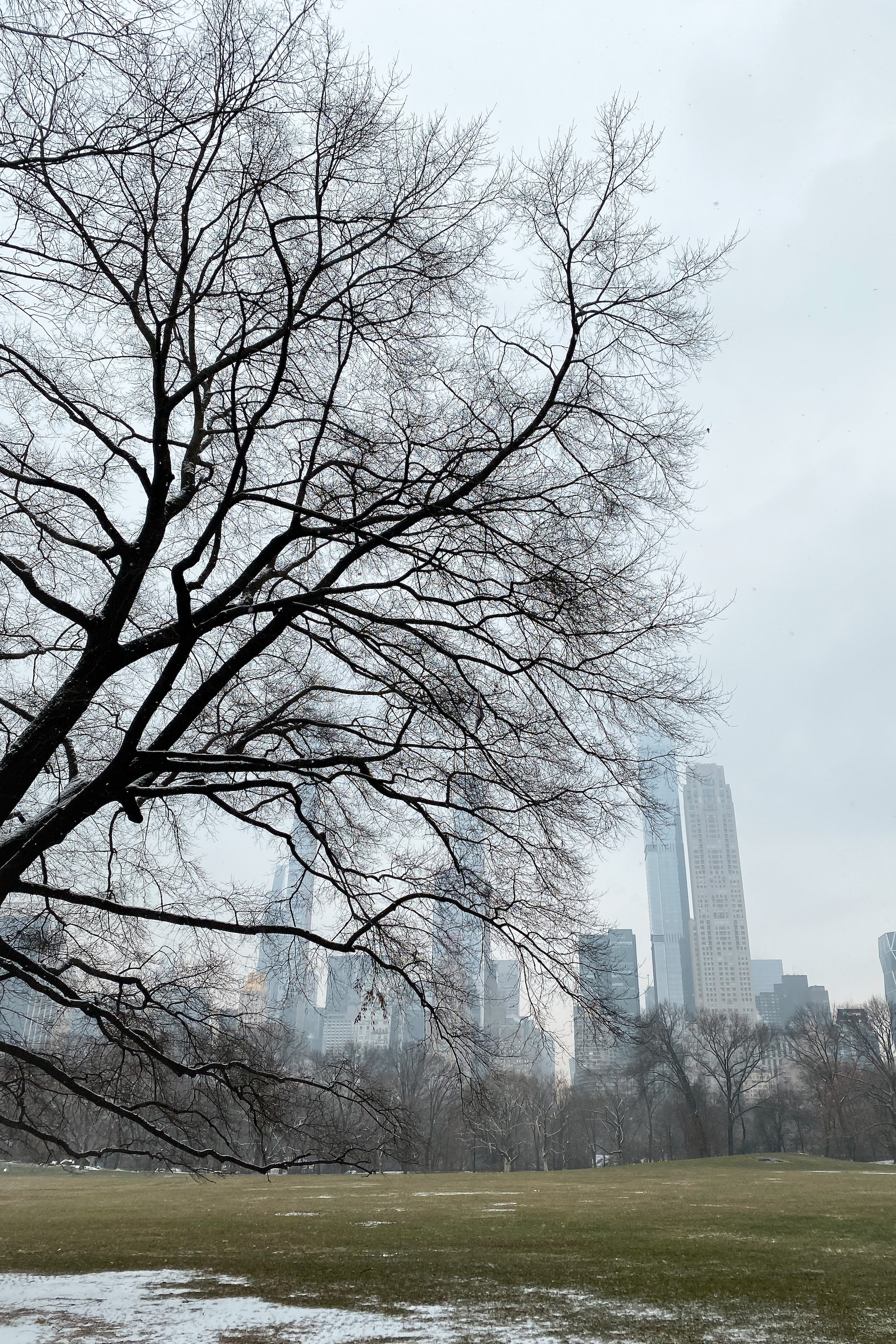 view from Sheep Meadow | A Snow Day in New York City