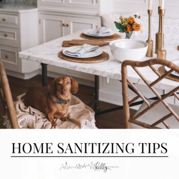 12 Home Sanitizing Tips