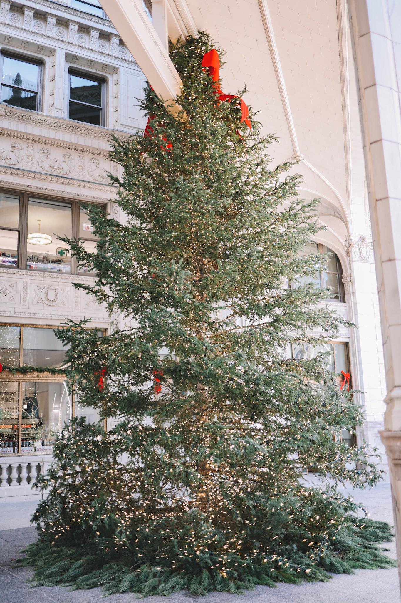Chicago giant Christmas tree