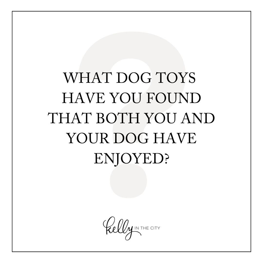 Best toys for small dogs