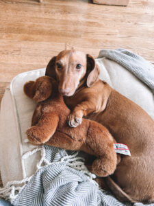 10+ Things, 3/15 | noodle and toy