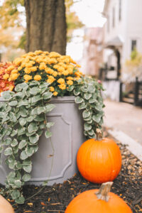 10 Preppy Wayfair Finds for Fall